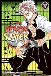 Demon Slayer: Kimetsu no Yaiba, Vol. 17: Successors