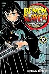 Demon Slayer: Kimetsu no Yaiba, Vol. 12: The Upper Ranks Gather