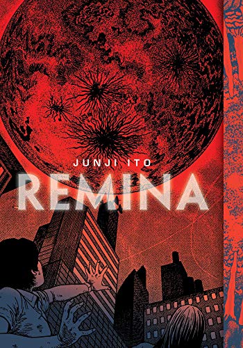 Remina book cover