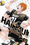Haikyu!!, Vol. 45: Challengers