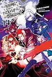Is It Wrong To Try To Pick Up Girls In A Dungeon Vol 14 Light Novel