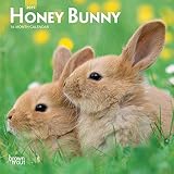 Honey Bunny 2019 Calendar