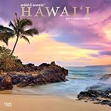 Wild & Scenic Hawaii 2020 Calendar: Foil Stamped Cover