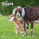 Goats 2020 Calendar