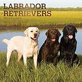 Labrador Retrievers 2020 Calendar Foil Stamped Cover