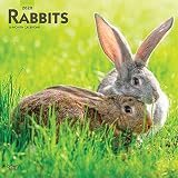 Rabbits 2020 12 X 12 Inch Monthly Square Wall Calendar Domestic Pet Animals English French And Spanish Edition