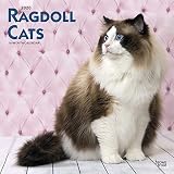 Ragdoll Cats 2020 Calendar