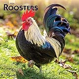 Roosters 2020 Calendar