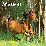 Arabians 2020 12 X 12 Inch Monthly Square Wall Calendar Animals Horses