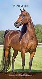 Horse Lovers 2020 35 X 65 Inch Two Year Monthly Pocket Planner Animals Horses