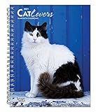 Cat Lovers 2021 6 X 775 Inch Weekly Engagement Calendar Animals Domestic Cats