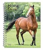 Horse Lovers 2021 6 X 775 Inch Weekly Engagement Calendar Animals Horses