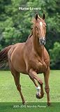 Horse Lovers 2021 35 X 65 Inch Two Year Monthly Pocket Planner Animals Horses
