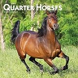 Quarter Horses 2021 12 X 12 Inch Monthly Square Wall Calendar Animals Horses