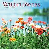 Wildflowers 2021 7 X 7 Inch Monthly Mini Wall Calendar Flower Outdoor Plant