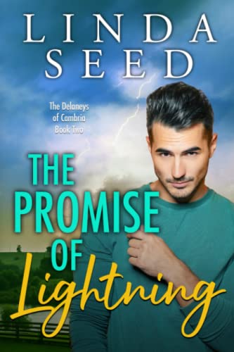 The Promise of Lightning book cover