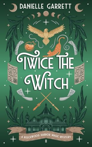 Twice the Witch book cover