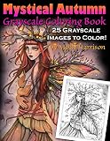 Mystical Autumn Grayscale Coloring Book Witches Fairies And More