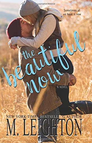 The Beautiful Now book cover