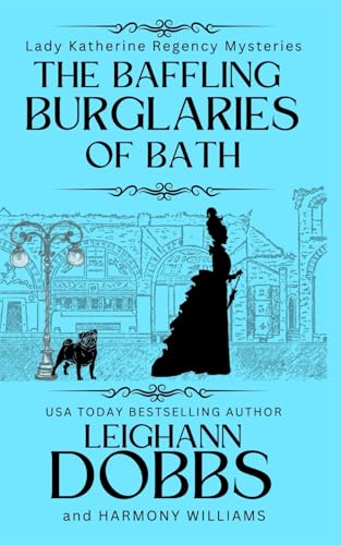 The Baffling Burglaries Of Bath book cover