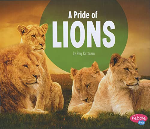 Cover of Pride of Lions