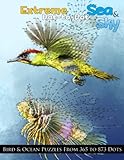 Extreme Dottodot Sea Sky Bird Ocean Puzzles From 365 To 873 Dots Dot To Dot Books For Adults Volume 11