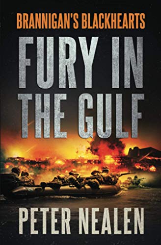 Fury in the Gulf cover