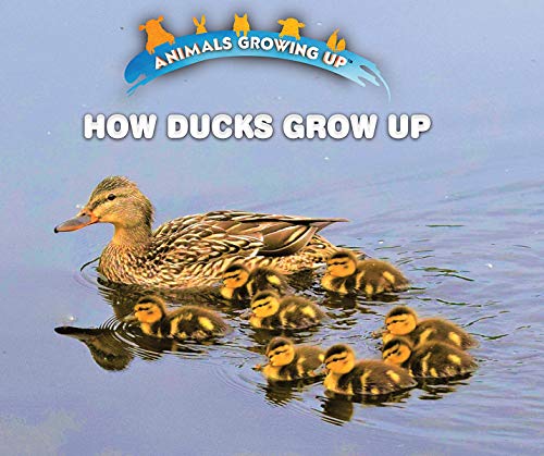 Cover of How Ducks Grow Up