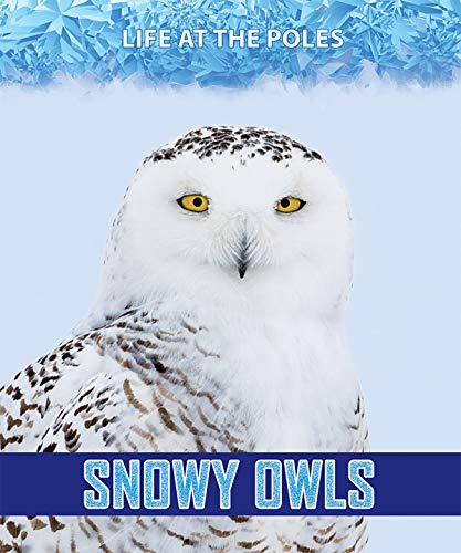 Cover of Snowy Owls