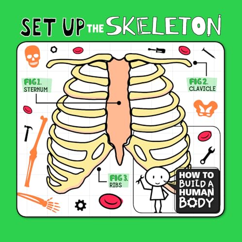 Cover of Set up the Skeleton