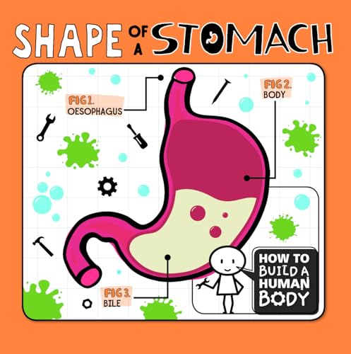 Cover of Shape of a Stomach