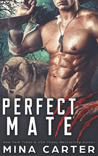 Perfect Mate book cover