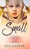 Small: A true story that I sometimes wish was just a novel