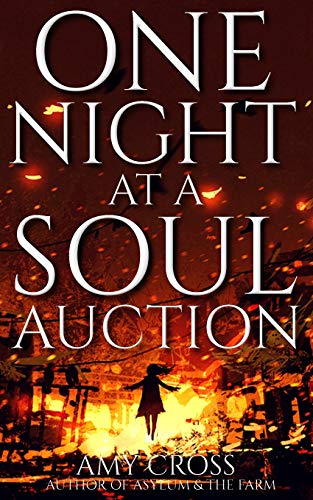 One Night at a Soul Auction book cover