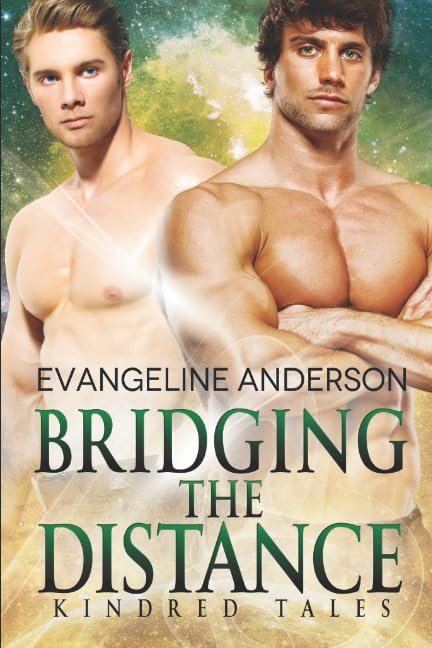 Bridging the Distance book cover