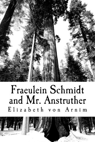 Fraeulein Schmidt and Mr. Anstruther book cover