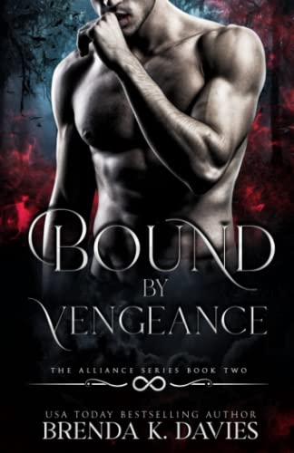 Bound by Vengeance book cover