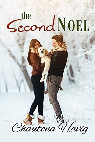 The Second Noel book cover