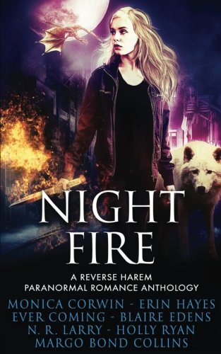 Night Fire book cover