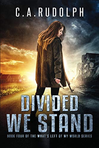 Divided We Stand book cover