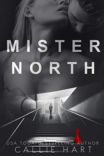 Mr. North book cover