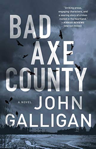 Bad Axe County book cover