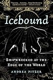 Icebound Shipwrecked At The Edge Of The World