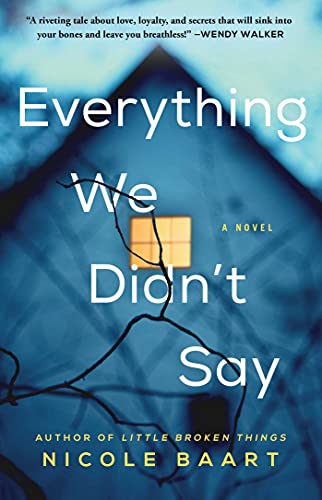 Everything We Didn't Say book cover