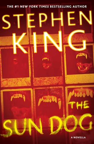 The Sun Dog book cover