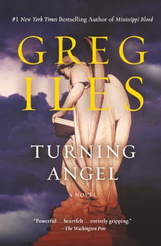 Turning Angel book cover