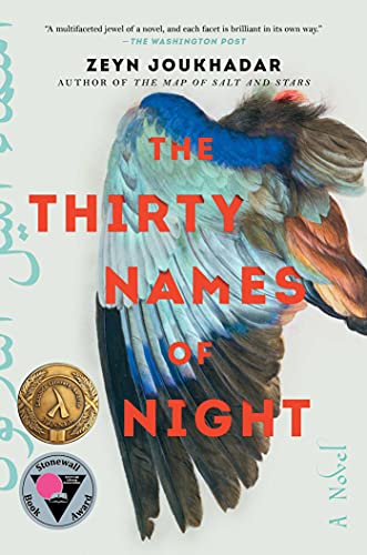 The Thirty Names of Night book cover