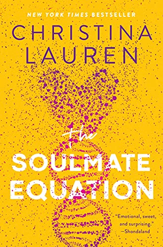 The Soulmate Equation book cover