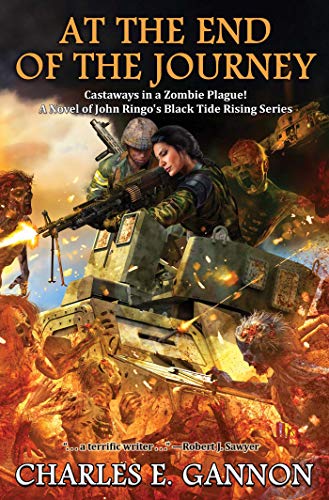 At the End of the Journey (By: Charles E. Gannon) cover