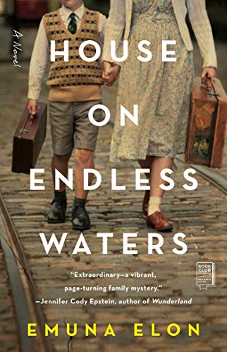 House on Endless Waters book cover